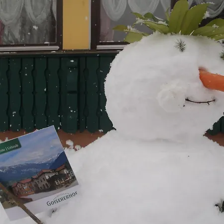 - Restaurant Goisererhof 3s فندق 3*